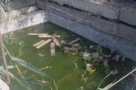 Bakıda FACİƏ: 6 yaşlı uşaq kanalizasiya quyusuna düşərək boğuldu