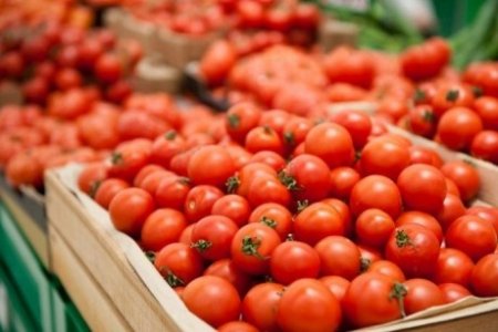 Koronavirusa görə Azərbaycan pomidorunun qiyməti 9 dollara qalxdı