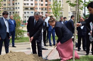 Heydər Əliyev-95: Azərbaycan şirkəti Gürcüstanda inşa etdiyi “Dirsi” kompleksində 95 ağac əkdi