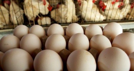 Yumurtanın kəskin bahalaşmasının səbəbi açıqlandı –Ölkəyə gətirilən yemin qiyməti artıb