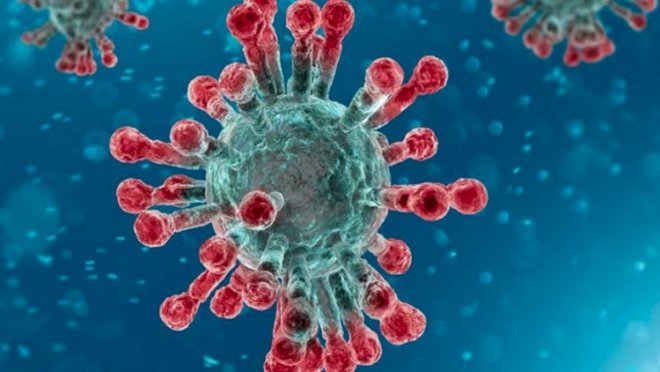 Koronavirusun yeni simptomları üzə çıxdı