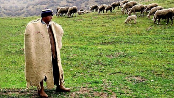 Azərbaycanlı çoban itkin düşdü