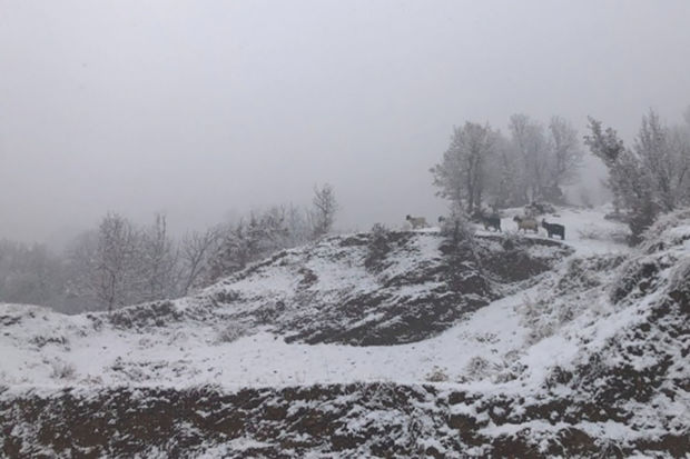 Naxçıvanın dağlıq bölgələrinə ilk qar yağıb - VİDEO