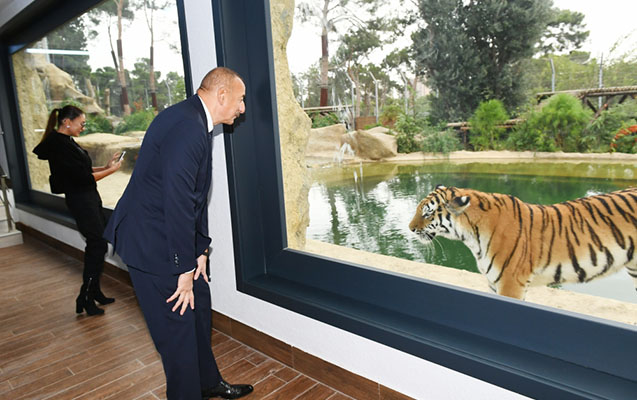 Prezidentlə ailəsi zooparkın açılışında - Fotolar+Video