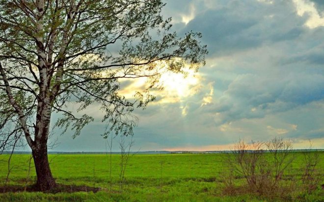 Bakıda havanın temperaturu iqlim normasından aşağı olub - FAKTİKİ HAVA