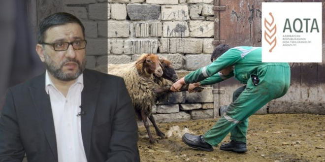 AQTA qurban ətini satmağı təklif edir, din isə... -