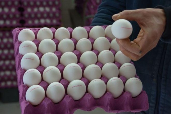 Azərbaycan yumurtanın qiyməti niyə bahalaşıb?