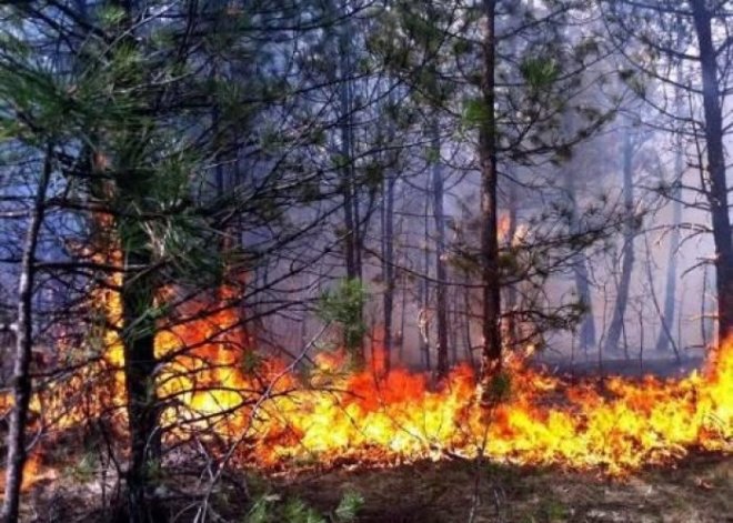 Altıağac Parkında yanğın başladı