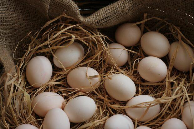 Yumurtanın qiyməti süni artırılır? - VİDEO