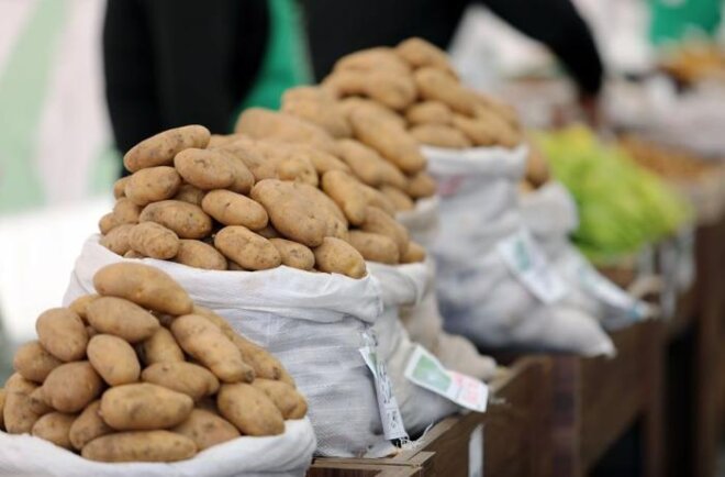 Kartofu hansı ölkələrdən neçəyə alırıq? – 3 dəfə baha satılır –