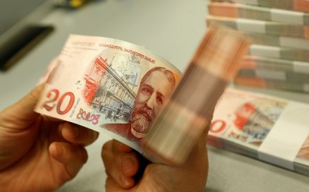 Gürcüstanın 145 min vətəndaşın 220 milyon dollar vergi borcu silinəcək