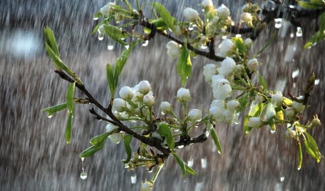 Yağıntılı və soyuq hava BU TARİXƏDƏK davam edəcək