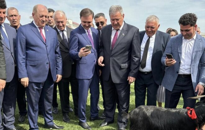 İcra başçısı bacısı oğlu ilə birlikdə xoruz döyüşdürdü -