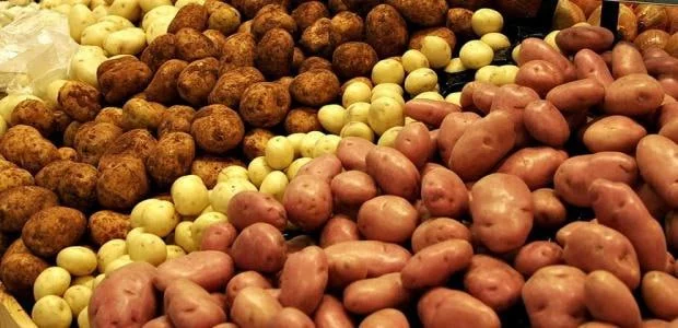 Kartofu çox sevənlərə pis xəbər