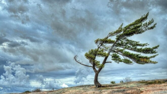 Qar, leysan yağır, külək əsir -
