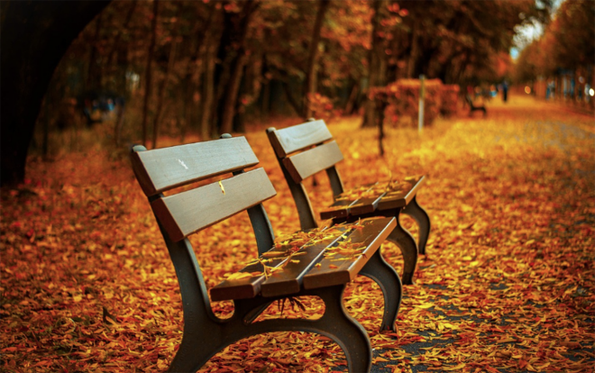 Sabah hava necə olacaq?