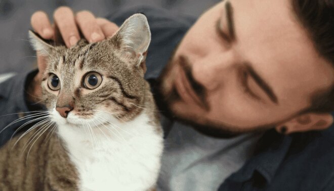 Pişiklərlə bağlı İLGİNC ARAŞDIRMA -