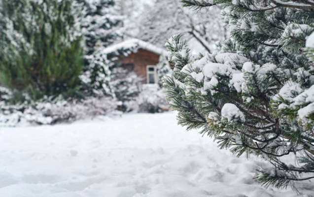 Qar yağacaq, yollar buz bağlayacaq -
