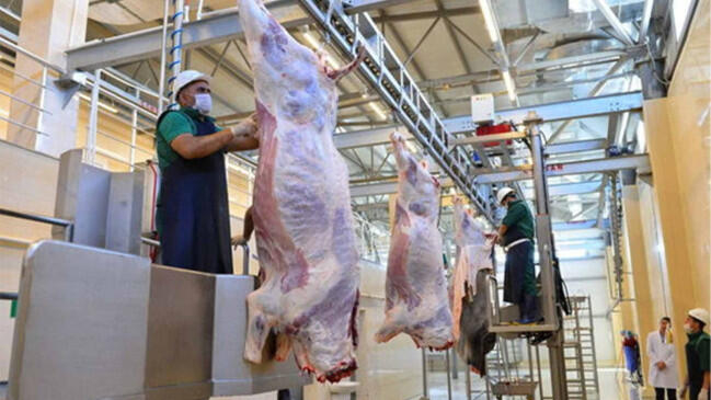 Ət alarkən ehtiyatlı olun - Həyatınıza təhlükə ola bilər -