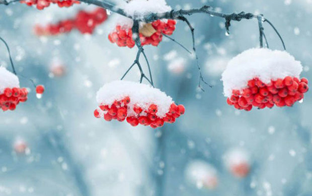 Bu ərazilərdə 20⁰-dək şaxta var