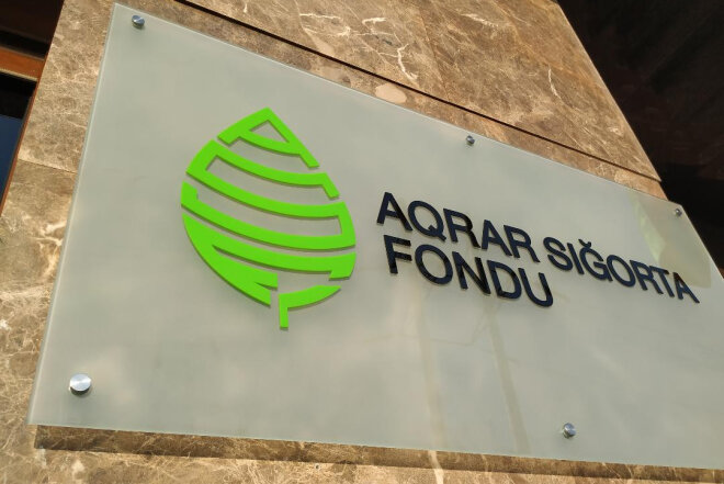 Aqrar Sığorta Fondunun fiziki şəxs Mətanət Əliyeva ilə bağladığı müqavilədə nə kimi şübhəli məqamlar var