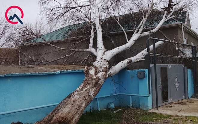 Biləsuvarda güclü külək fəsadlar yaradıb