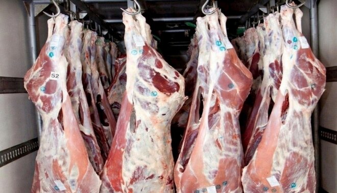 Ət yeyən qadınlara pis xəbər