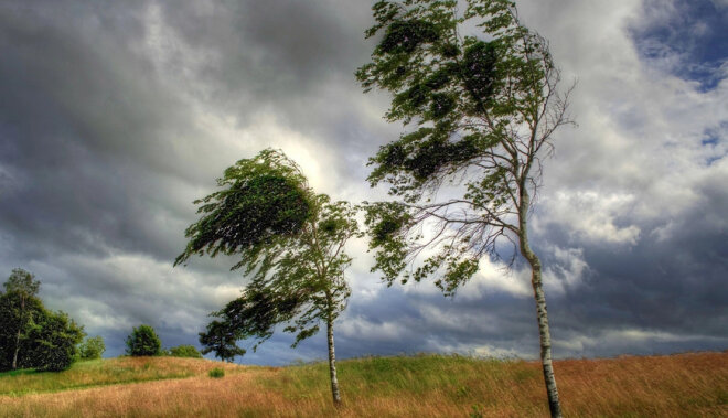 Leysan olacaq, dolu düşəcək -