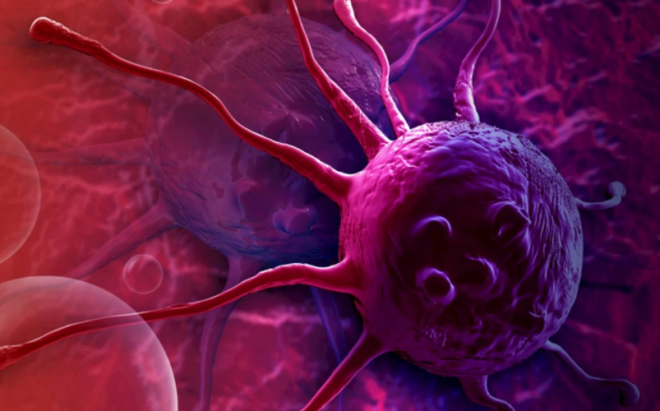 Onkoloq xərçəng hüceyrələrini məhv edə bilən 4 qidanı sadaladı