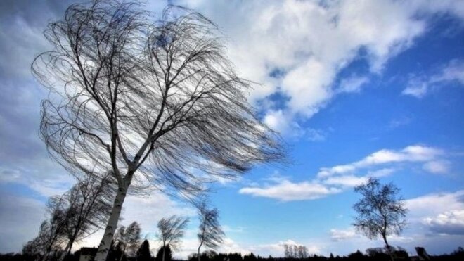 Hündür ağacların altında dayanmayın -Əhaliyə ÇAĞIRIŞ