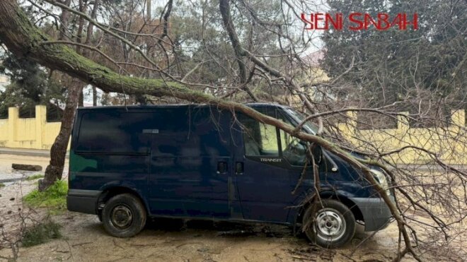 Bakıda ağac avtomobilin üstünə aşdı -