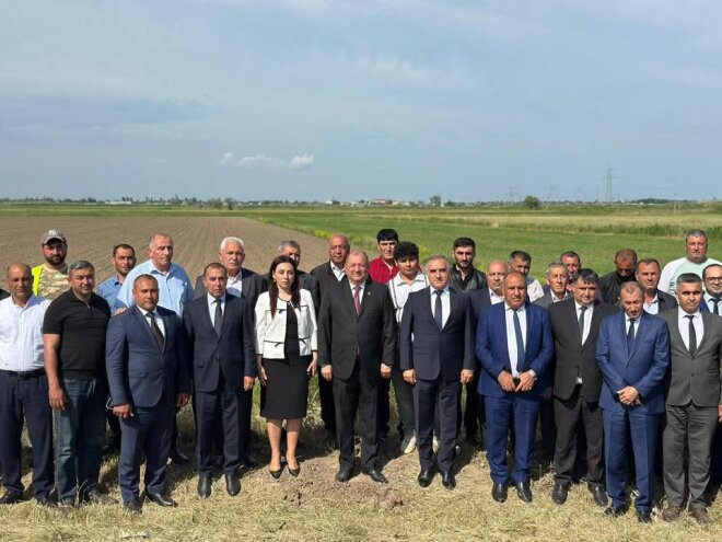 Beyləqanda yaşıllaşdırma tədbirləri davam edir